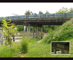 Young Street Bridge