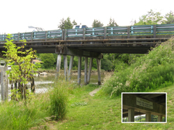Young Street Bridge